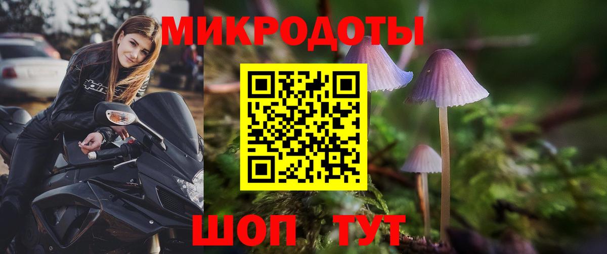 Томск  Псилоцибиновые грибы мицелий  Вход с VPN 